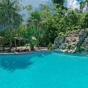Hotel Jolie Jungle Eco (adults Only)